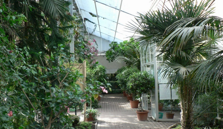 Sbírkové skleníky Flora Olomouc