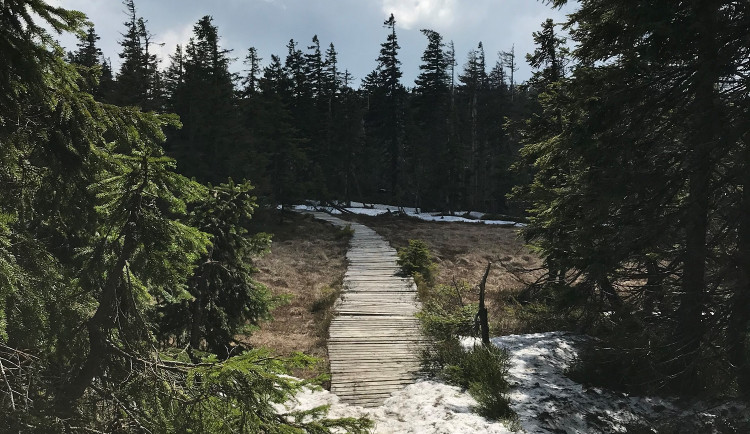 6F6C3D06-91CB-4D64-AE29-B42E8C380A05