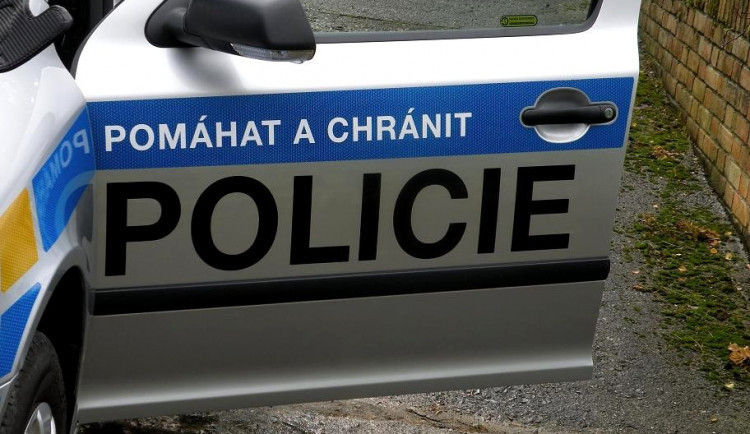 Zloděj ukradl nářadí a patnáct keramických sošek zvířat