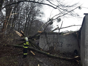 86183572_2962422750476602_3072061807565733888_o