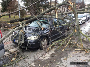 Pád stromu a poškozená auta - taková byla bouře Sabine v ulicích Olomouce