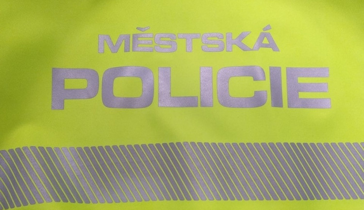 Pomočeného opilého cestujícího museli strážníci odvézt na záchytku