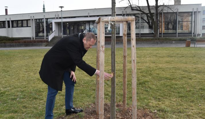 Hledá se páníček. Strážníci potřebují pomoct v případu poškozené lípy