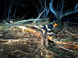 87202195_836743180072025_4005023584379469824_n