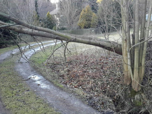 87214895_3132847123406494_6743055181061029888_n