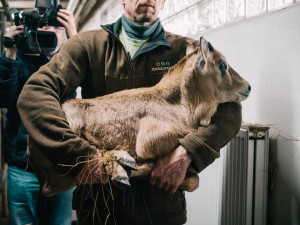 87705922_777225076137330_6139621531627552768_n