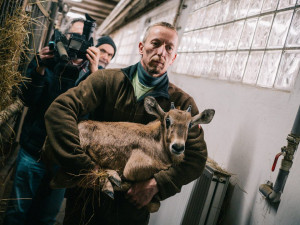 87586201_1243978075798903_5178093098399432704_n