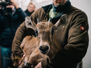 87750781_2812225125526419_2151188903401357312_n