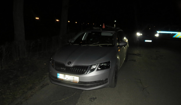 Řidiči spadla při jízdě na okno větev stromu