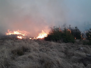 FOTO: Hasiči v kraji během čtyř hodin vyjížděli k devíti požárům lesa