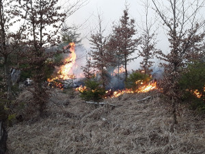 FOTO: Hasiči v kraji během čtyř hodin vyjížděli k devíti požárům lesa