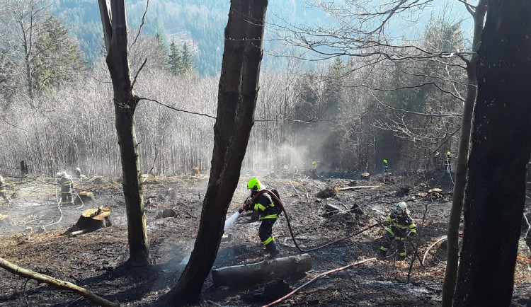 Požár lesa v Dětřichově, místní části Jeseníku, kde se tento týden v pondělí vymklo kontrole pálení klestí