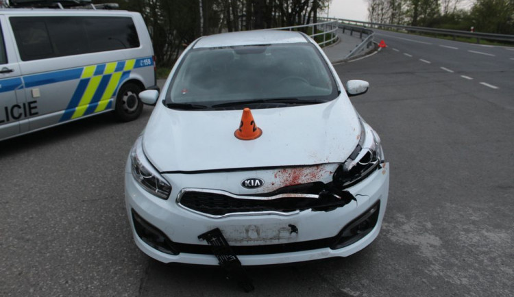 DN D46 - střet se srnou