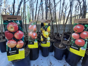 Tip na přečkání koronavirové pandemie? Zahradničte, říká majitel Zahradnictví Krejčíř