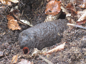 FOTO: Muž našel v lesích u Dolan dělostřelecký granát