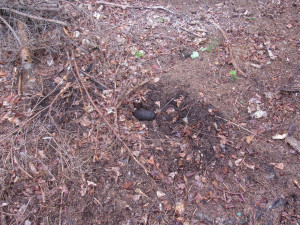 FOTO: Muž našel v lesích u Dolan dělostřelecký granát