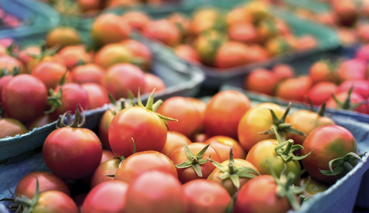 ilustrační fotografie