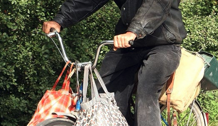 ilustrační fotografie