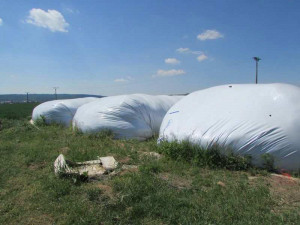 FOTO: Zloděj poničil vaky s uskladněným krmivem. Škoda jde do statisíců