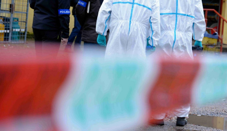 size4-1579703289612-207-size4-15731459645603-103-size4-15332084675115-103-dsc-6870