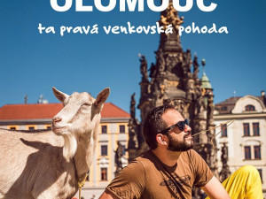 Ta pravá venkovská pohoda. Olomoucká radnice reaguje na reklamní kampaň žlutého dopravce
