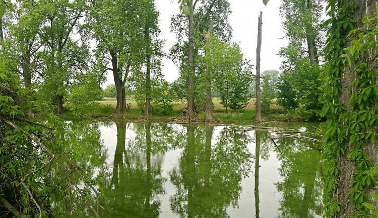 Místo, kde se uskuteční IV. etapa protipovodňových opatření