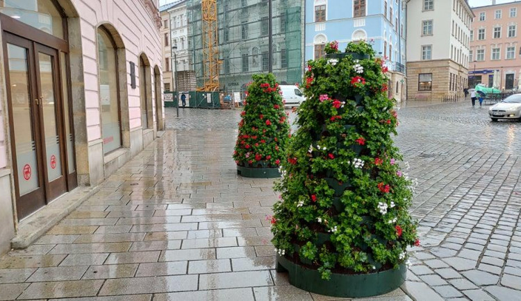 Květinové pyramidy už jsou k vidění na Horním náměstí.