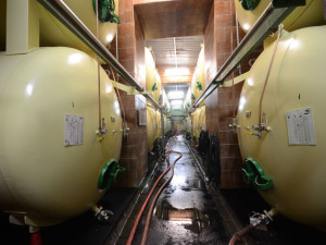 Litovel Moravan je oblíbený už téměř 40 let. Teď si můžete o pivní legendu dokonce zasoutěžit