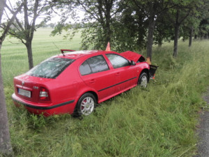 Řidiči do cesty vběhla srna. Na mokré silnici dostal smyk a čelně narazil do stromu