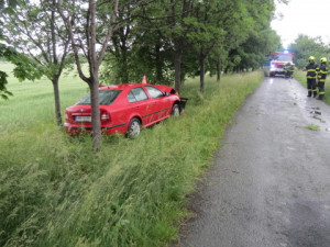 Řidiči do cesty vběhla srna. Na mokré silnici dostal smyk a čelně narazil do stromu