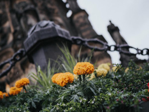 FOTO: Na olomouckém Horním náměstí vykvetl Sloup Nejsvětější Trojice. Jak se vám líbí?
