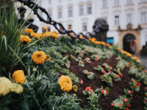 FOTO: Na olomouckém Horním náměstí vykvetl Sloup Nejsvětější Trojice. Jak se vám líbí?