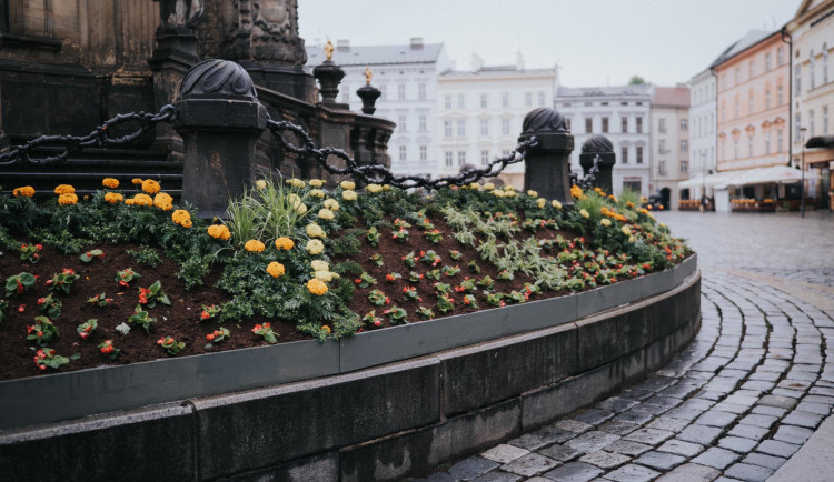 FOTO: Na olomouckém Horním náměstí vykvetl Sloup Nejsvětější Trojice. Jak se vám líbí?