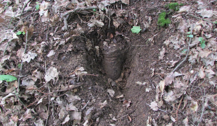 Muž našel u Náměště na Hané protipancéřovou střelu