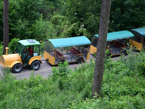 FOTO: První vlčí safari v republice! Olomoucká zoo dnes zahájila provoz safarivláčku