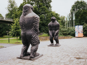 FOTO: Velké bronzové sochy lidoopů už stojí na svém místě u Rudolfovy aleje. Váží tři čtvrtě tuny