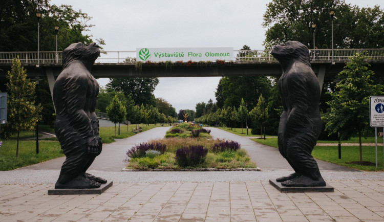 FOTO: Velké bronzové sochy lidoopů už stojí na svém místě u Rudolfovy aleje. Váží tři čtvrtě tuny