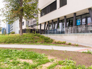 Olomoucká fakultní nemocnice vybudovala chodníky za čtyři miliony korun