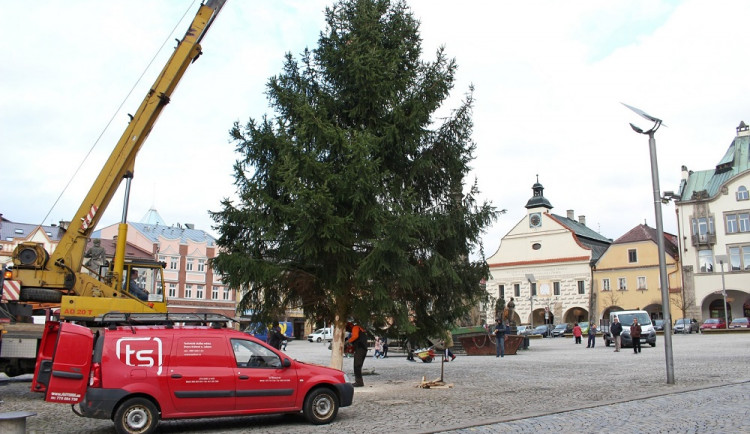 Dvůr už hledá vánoční strom na náměstí T.G.Masaryka