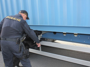 Dálniční policisté kontrolovali u Přáslavic nákladní vozidla. Zjistili 19 přestupků u 25 řidičů