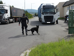 Dálniční policisté kontrolovali u Přáslavic nákladní vozidla. Zjistili 19 přestupků u 25 řidičů