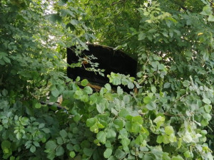 VIDEO: Řidič ujížděl hlídce z Řepčína až k Hradisku, kde skončil v poli. Policisté u něj našli několik gramů pervitinu