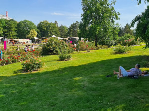 FOTO: Výstava růží v olomouckém Rozáriu o víkendu přivítala více než dva tisíce návštěvníků