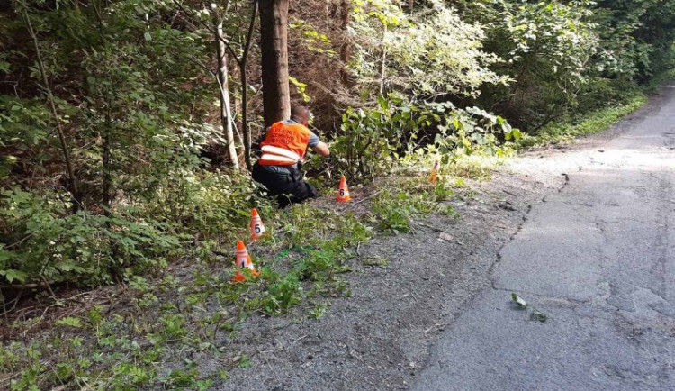 Cyklista nezvládl v kopcích na Blanensku průjezd zatáčkou, vletěl do lesa a na místě zemřel