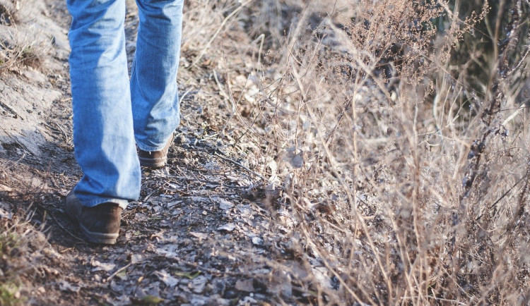 Nová publikace psychologů z UP se zabývá výzkumem chůze. Olomouc považují za walkable město