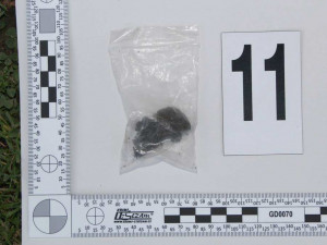 Desítky rostlin konopí, kila sušené marihuany, hašiš i pervitin našli policisté při domovní prohlídce dealera