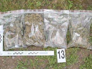 Desítky rostlin konopí, kila sušené marihuany, hašiš i pervitin našli policisté při domovní prohlídce dealera