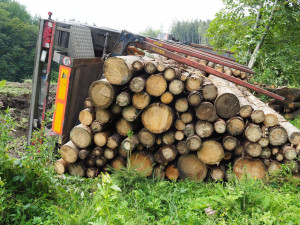 Pod naloženým kamionem se dřevem se utrhla krajnice. Škoda se vyšplhala k milionu korun