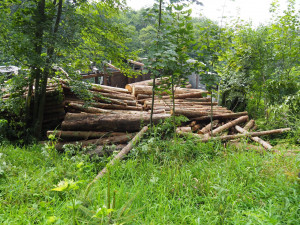 Pod naloženým kamionem se dřevem se utrhla krajnice. Škoda se vyšplhala k milionu korun