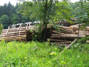 Pod naloženým kamionem se dřevem se utrhla krajnice. Škoda se vyšplhala k milionu korun
